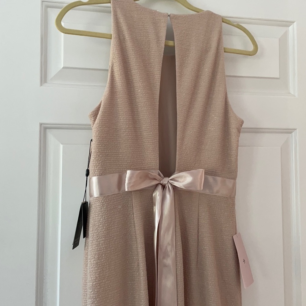 Adrianna Papell BHLDN Champagne Gown